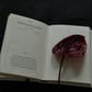 The Becoming Journal - A Guided Journal