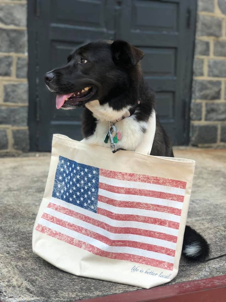 American Flag Large Tote