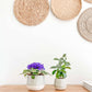 Mia Ceramic Planter