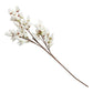 Spring Flower Stem