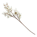 Spring Flower Stem