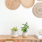 Mia Ceramic Planter