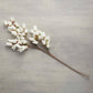 Spring Flower Stem