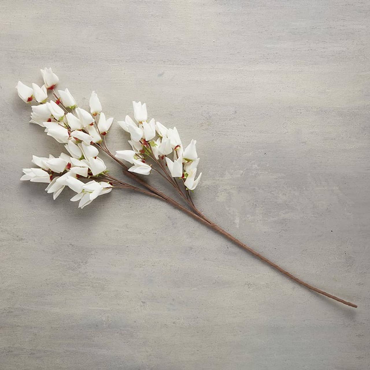 Spring Flower Stem