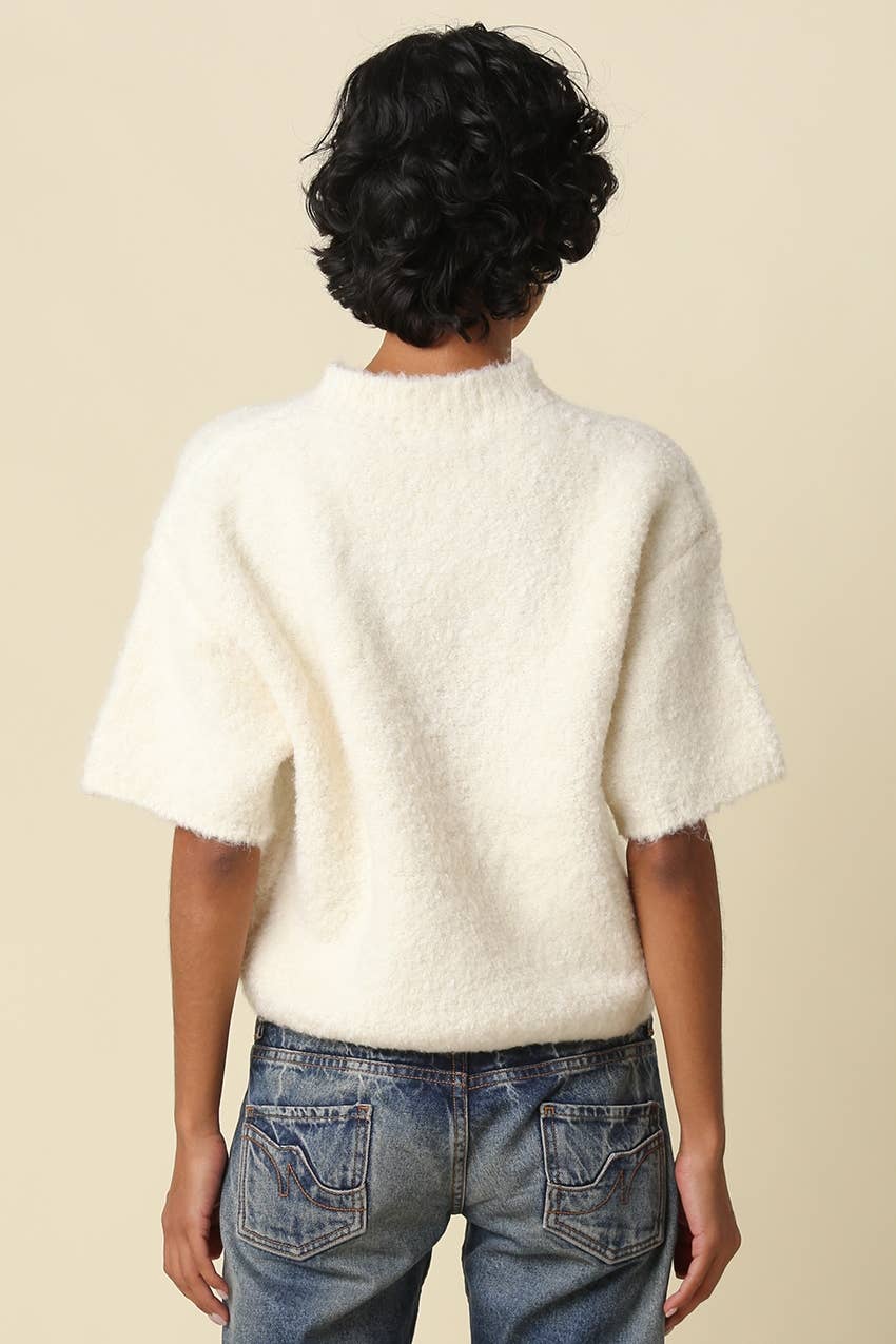 Ayra Fuzzy Short Sleeve Sweater