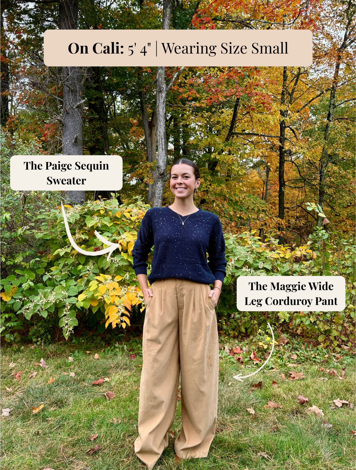 The Paige Sequin Sweater
