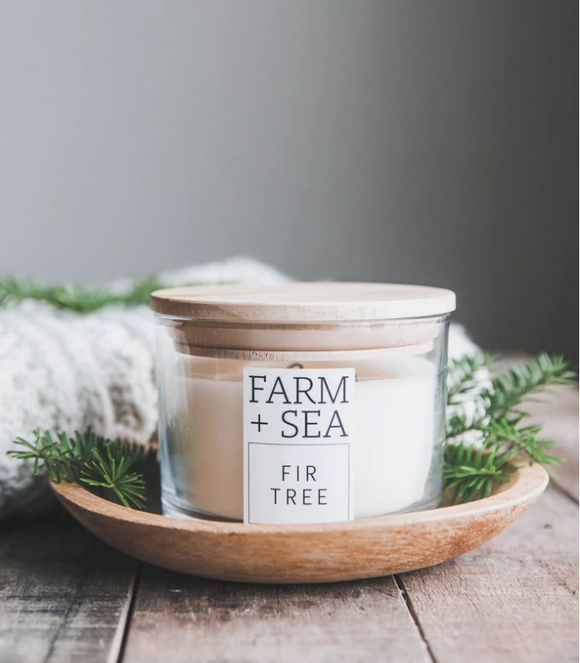 Fir Tree 3 Wick Candle *Special Edition