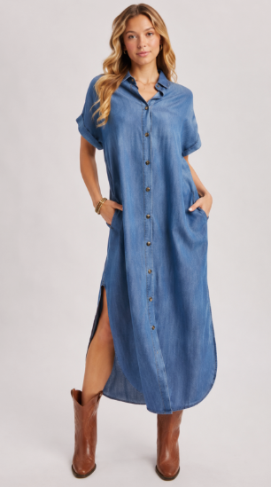 The Demi Denim Button Down Shirt Dress
