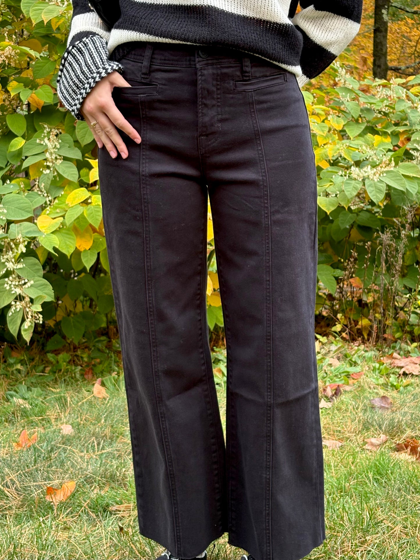 The Shelly Black Denim Pant