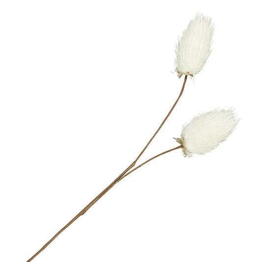 White Flower Stem