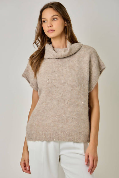 The Lowen Turtleneck Sequin Sweater
