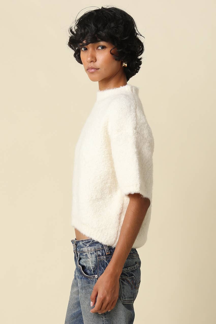 Ayra Fuzzy Short Sleeve Sweater