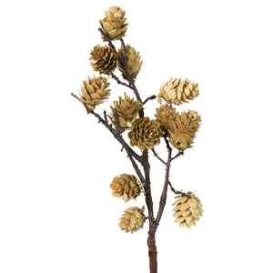 Mini Pinecone White Stem