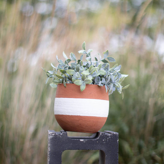 Capucine Terracotta Planter